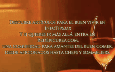 Lo que nunca debes hacer al tomar vino SIN VIDA Y TITULO ABAJO